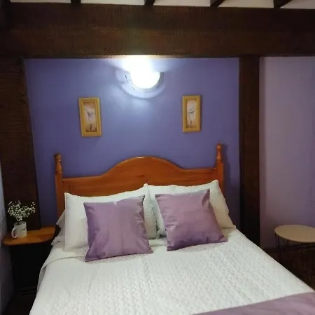 Apartamentos Caloca Apartment *