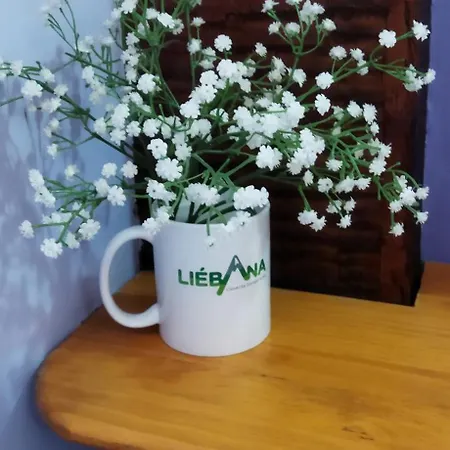 Apartamentos Caloca Appartement