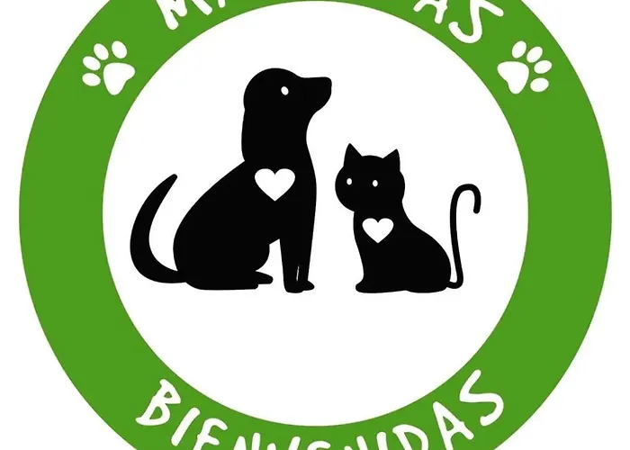 Apartamentos Caloca Apartment Caloca